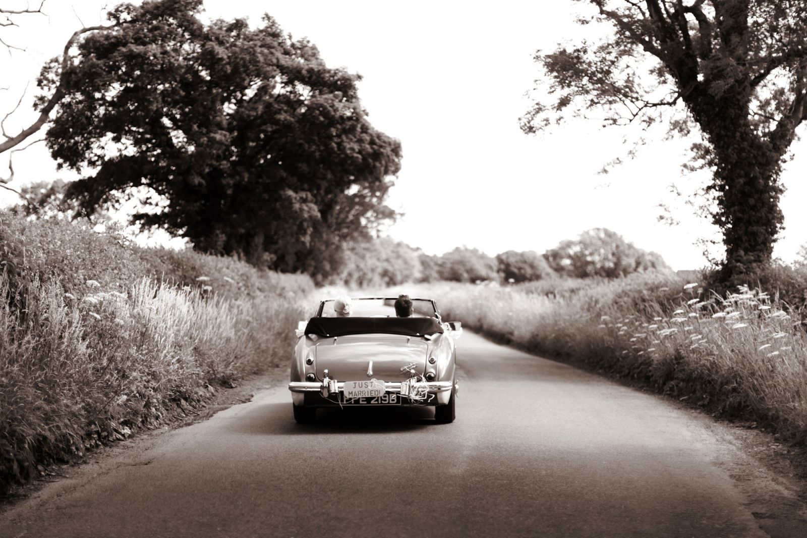 Newly married couple driving away in an open-top vintage car down a hedgerow lane, photographed from behind in warm monochrome